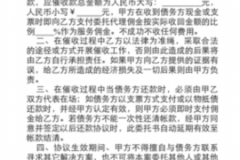 北流为什么选择专业追讨公司来处理您的债务纠纷？